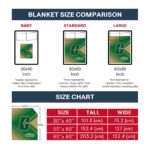 charlotte 49ers diagonal stripes green blanket trendy