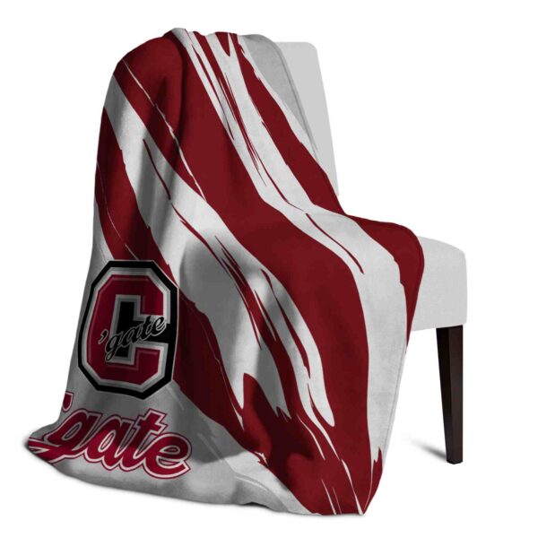 colgate raiders brushstrokes maroon white blanket top rated