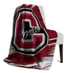 colgate raiders paint streaks maroon white blanket top rated