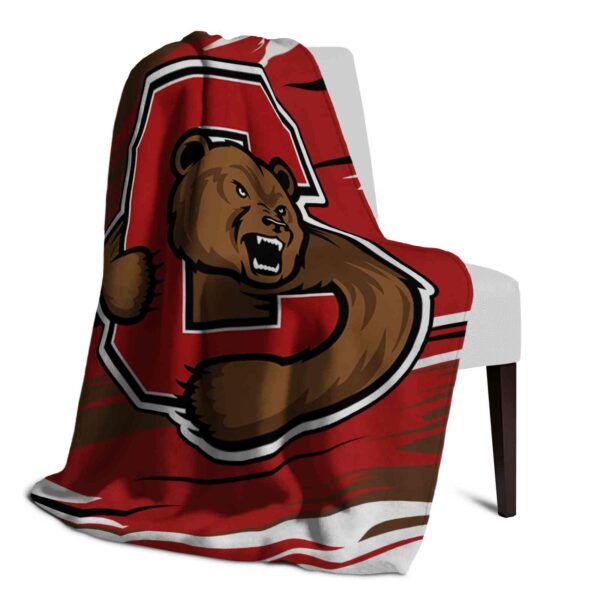 cornell big red paint streaks red white blanket top rated