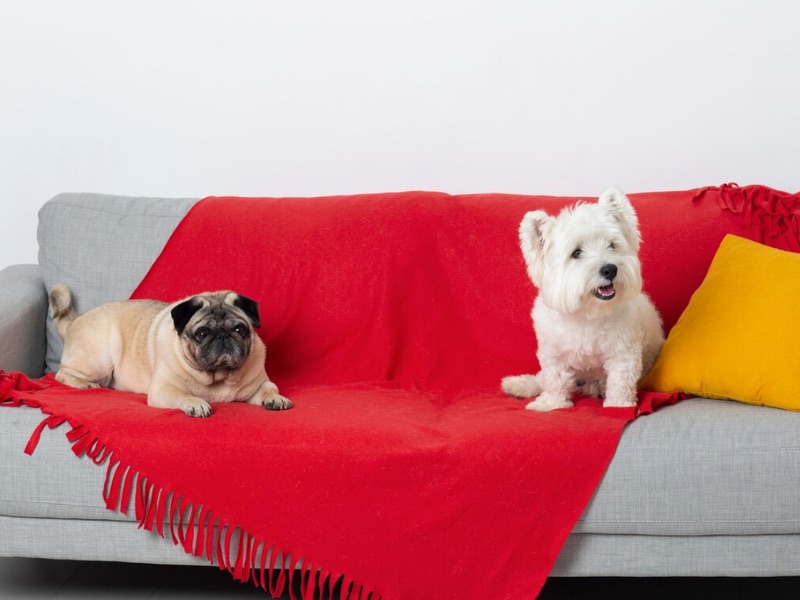 How To Put A Throw On A Couch - The Center Stage In Your Couch