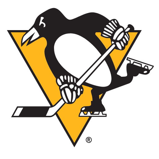 pittsburgh penguins