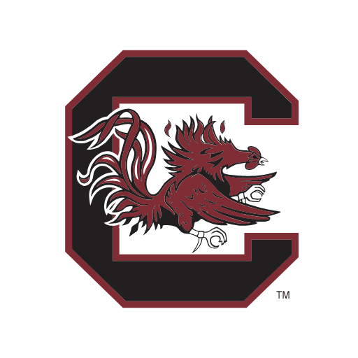 south carolina gamecocks