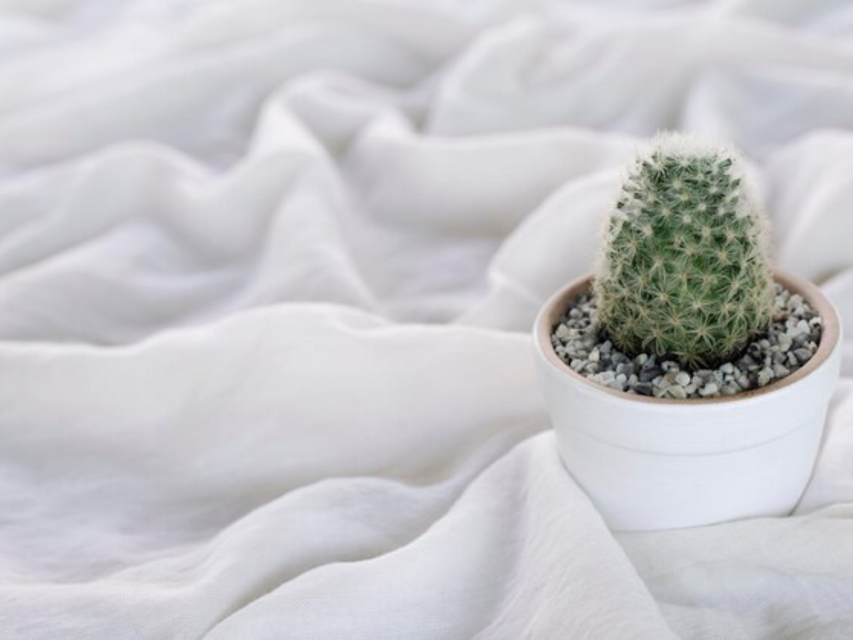 A Lightweight Blanket Is "A Best Friend" Or “A Close Friend” For The Summer