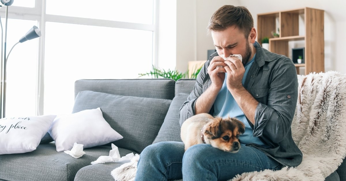 Frequent blanket washing helps remove dust mites, pet dander, and other irritants that can accumulate in the fibers.