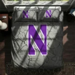 Northwestern Wildcats Cracked Texture Bedding Set Best Selling